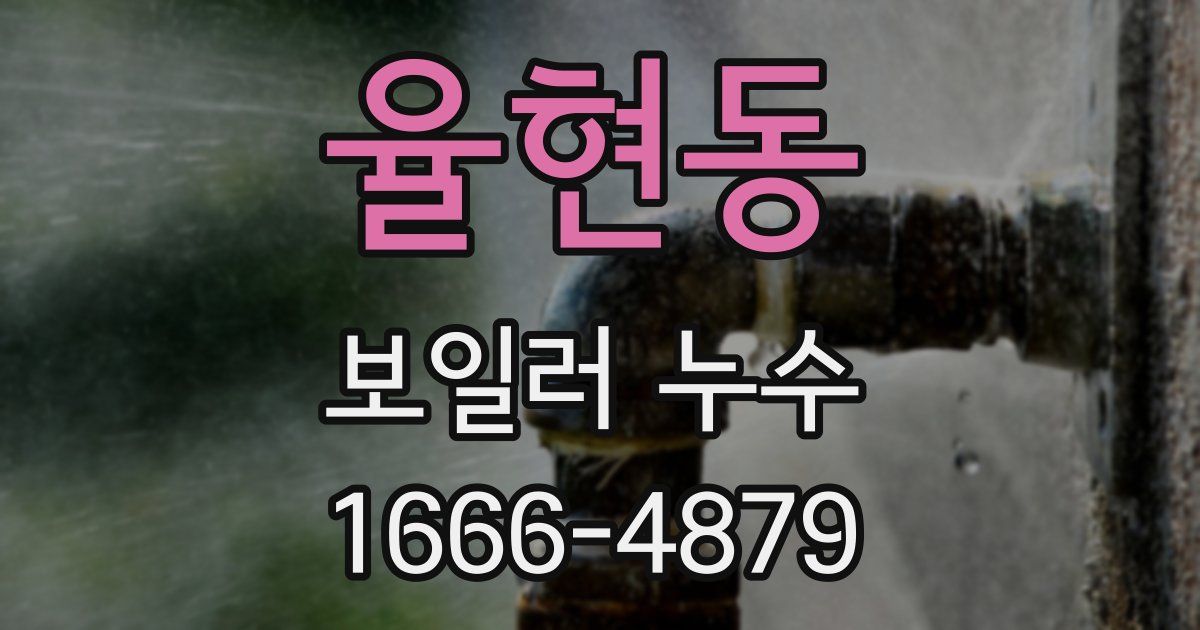 율현동 보일러 누수