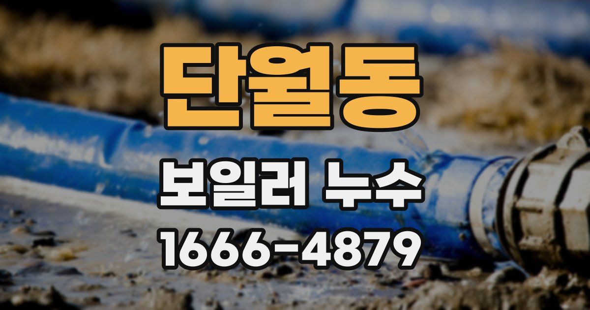 단월동 보일러 누수