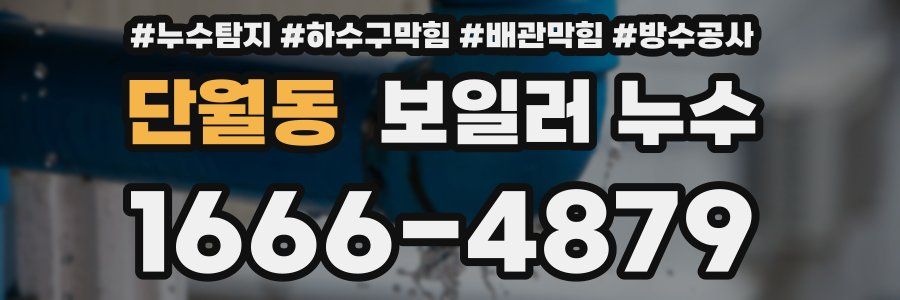 단월동 보일러 누수