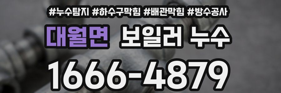 대월면 보일러 누수