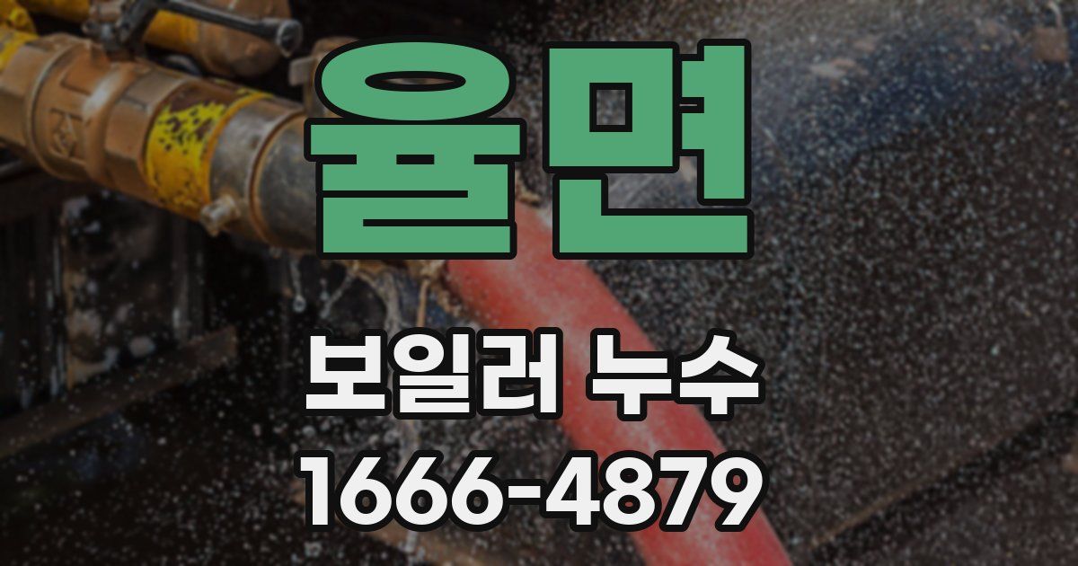 율면 보일러 누수