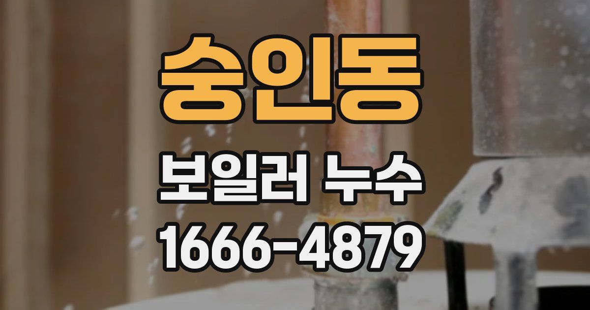 숭인동 보일러 누수