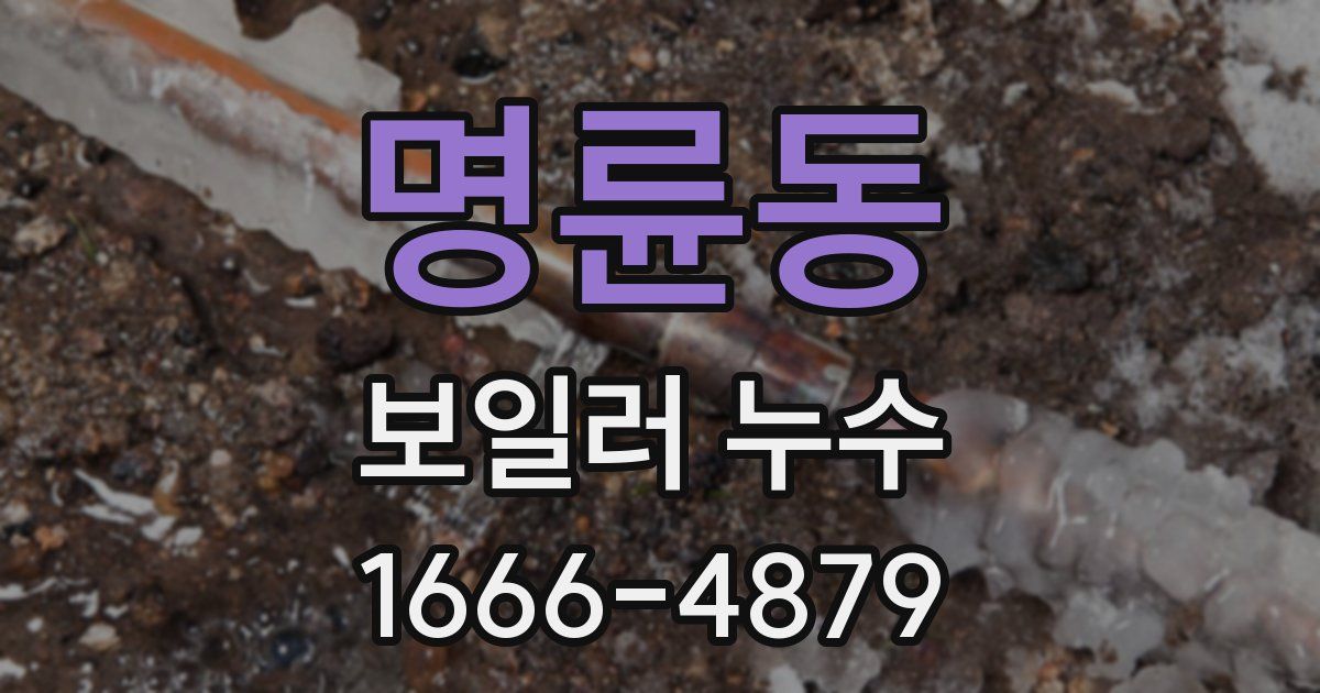 명륜동 보일러 누수