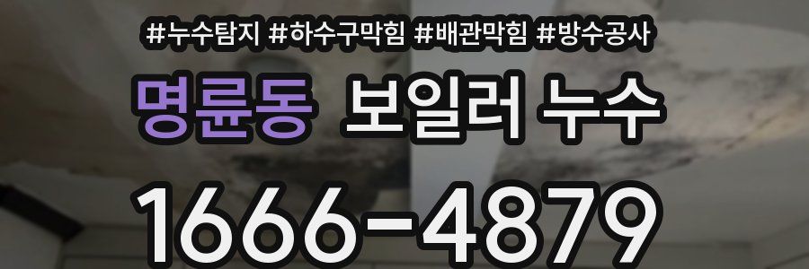 명륜동 보일러 누수
