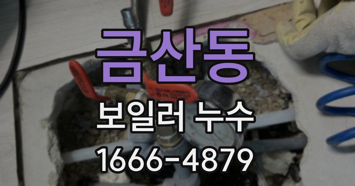 금산동 보일러 누수
