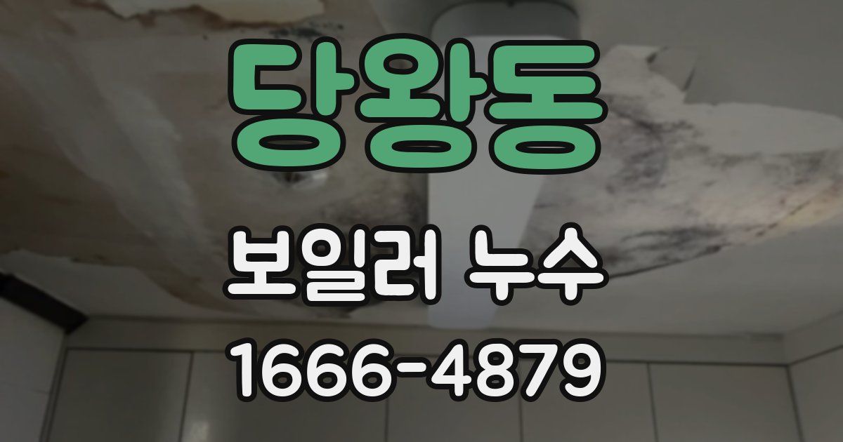당왕동 보일러 누수