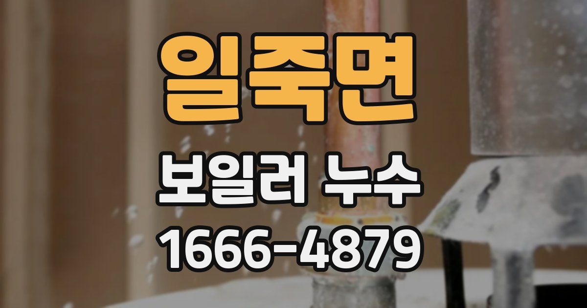 일죽면 보일러 누수