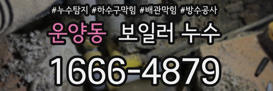 운양동 보일러 누수