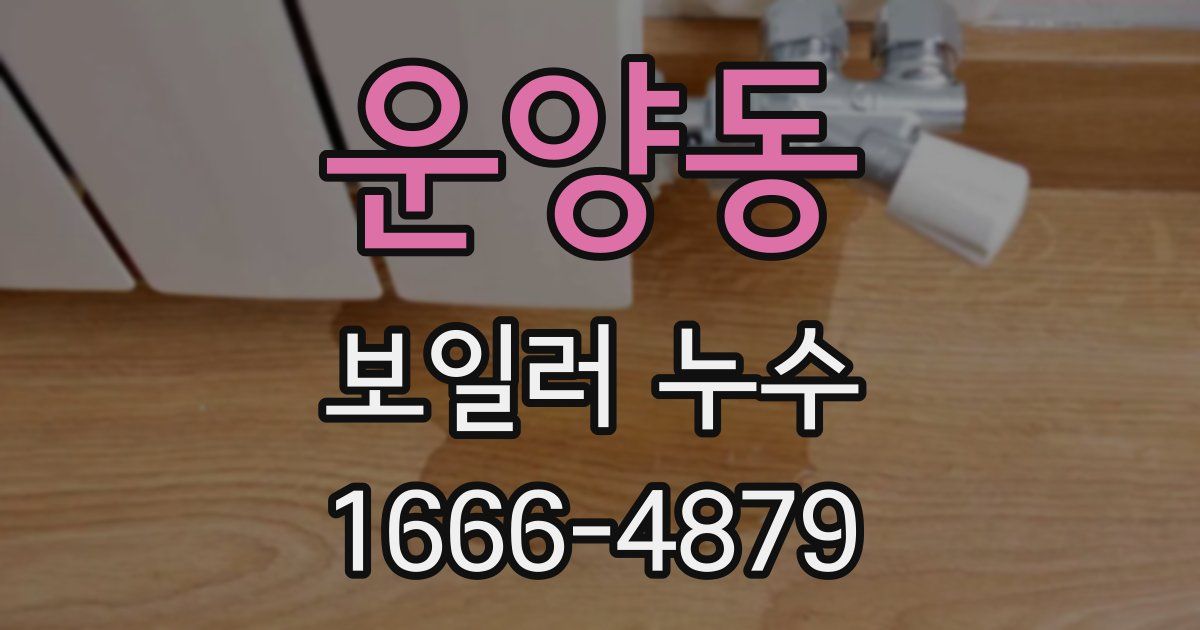 운양동 보일러 누수