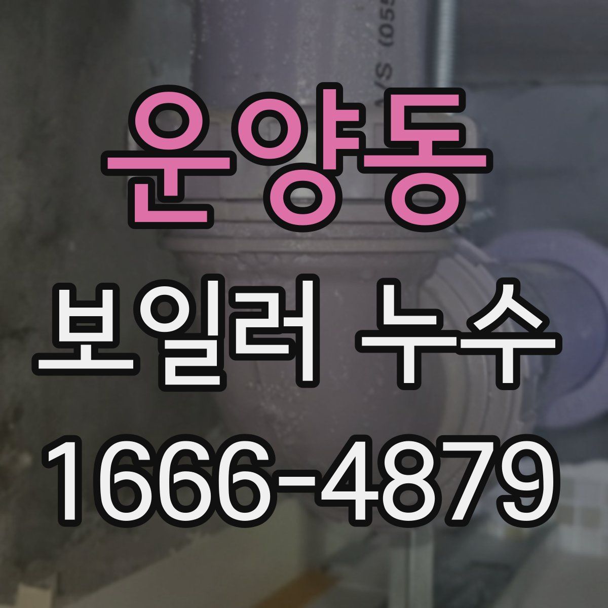 운양동 보일러 누수