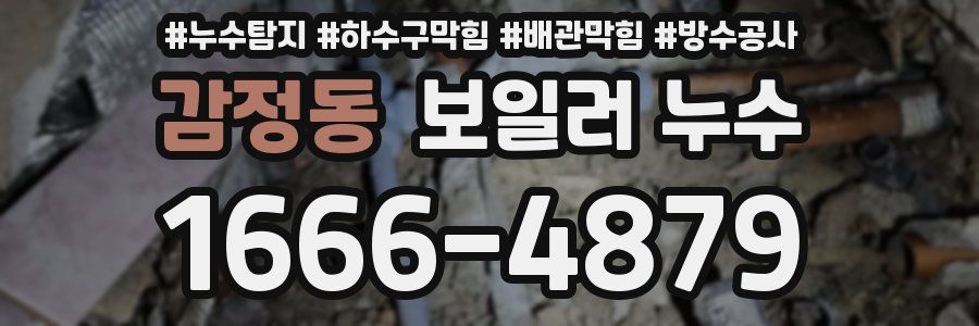감정동 보일러 누수