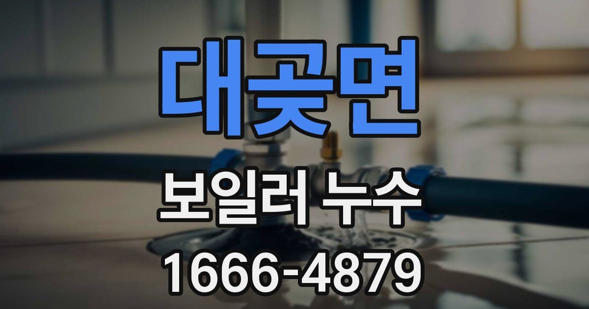 대곶면 보일러 누수