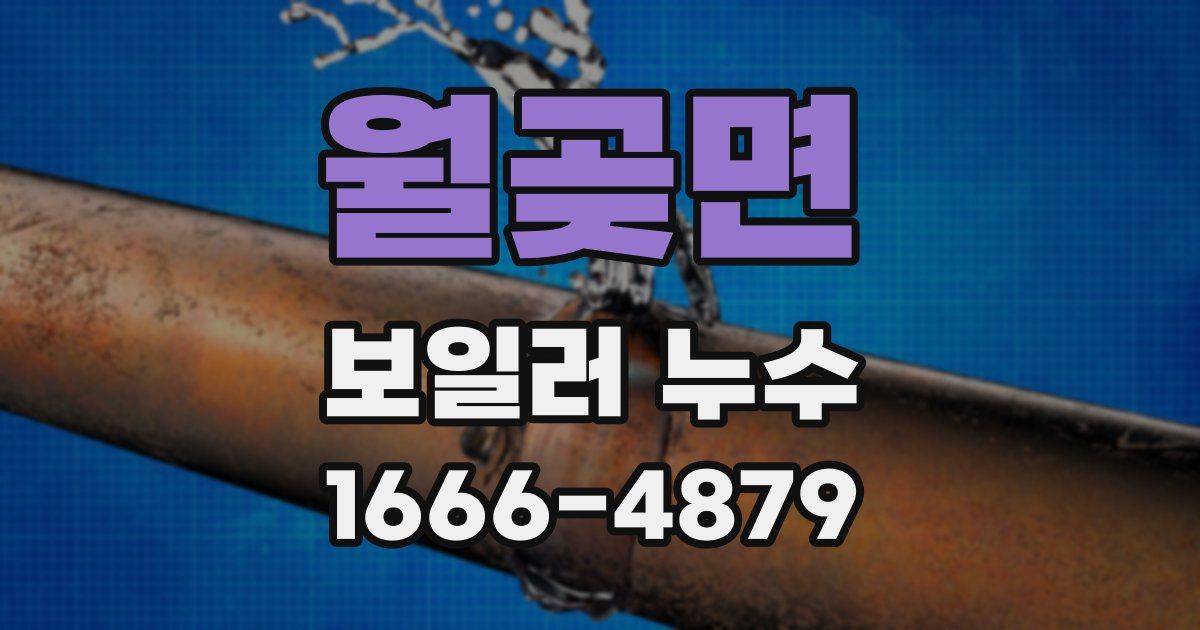 월곶면 보일러 누수