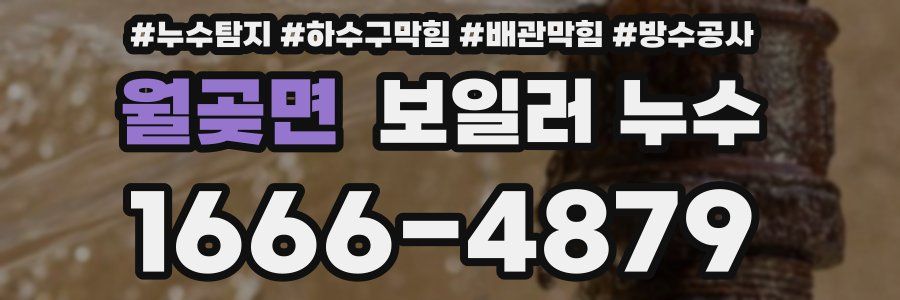 월곶면 보일러 누수