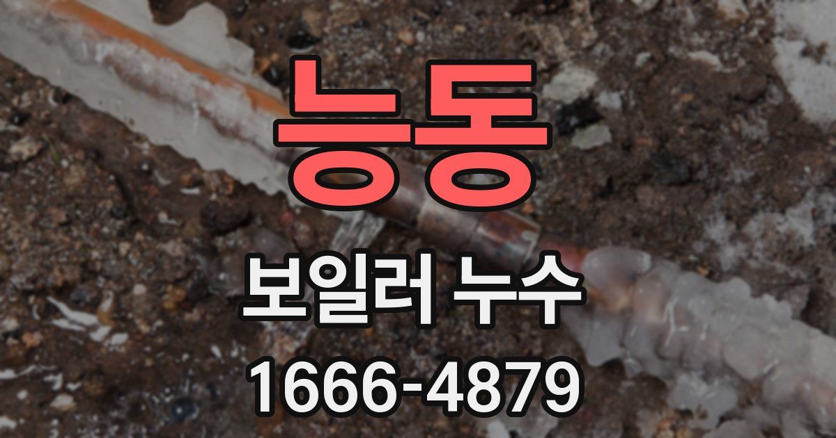 능동 보일러 누수