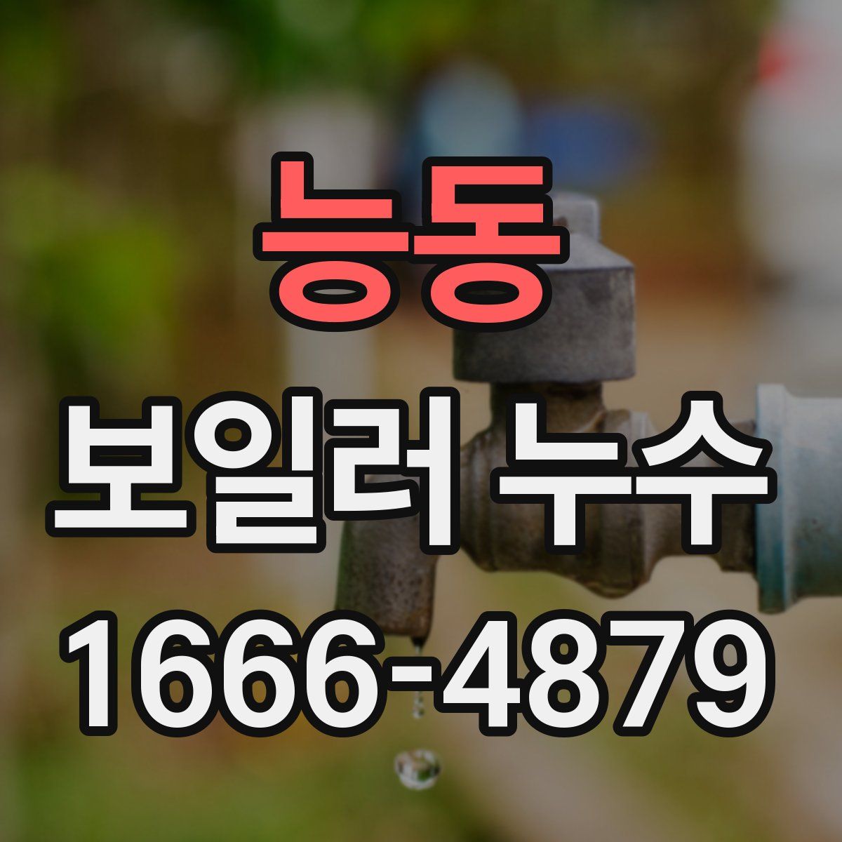 능동 보일러 누수