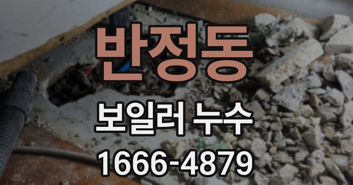 반정동 보일러 누수