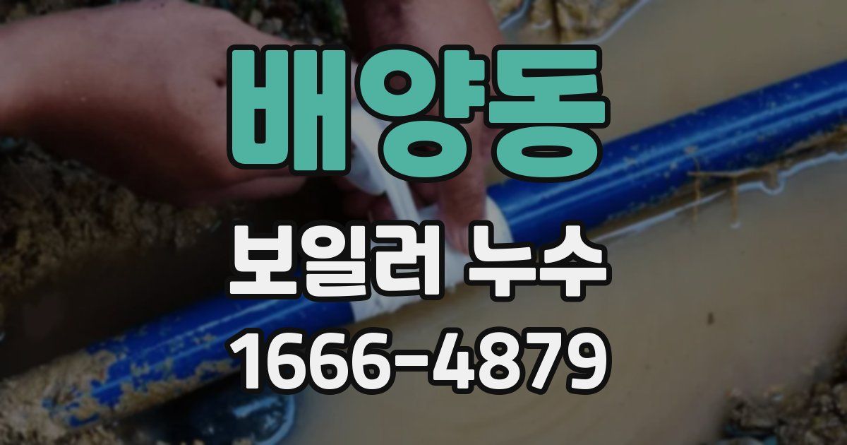 배양동 보일러 누수