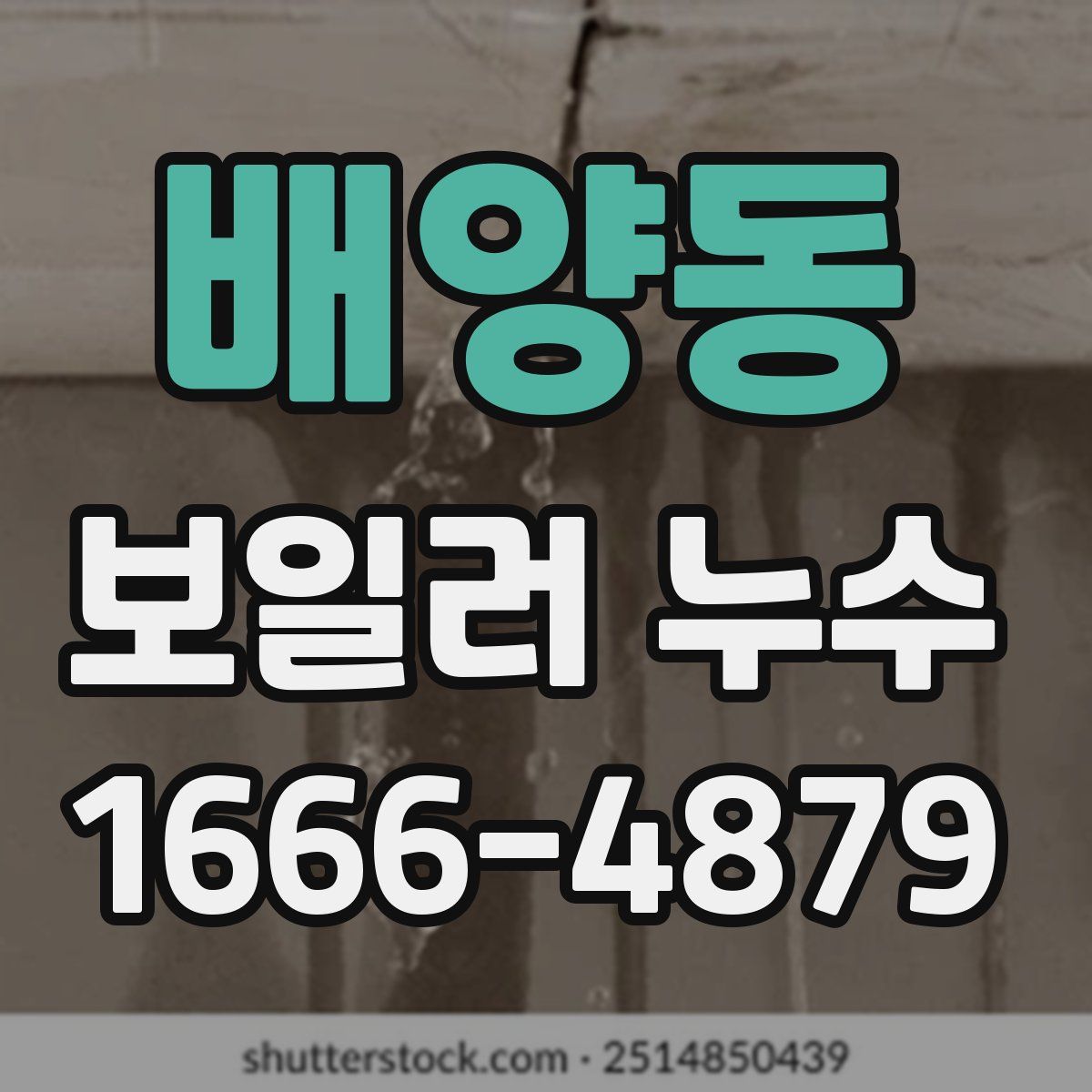 배양동 보일러 누수