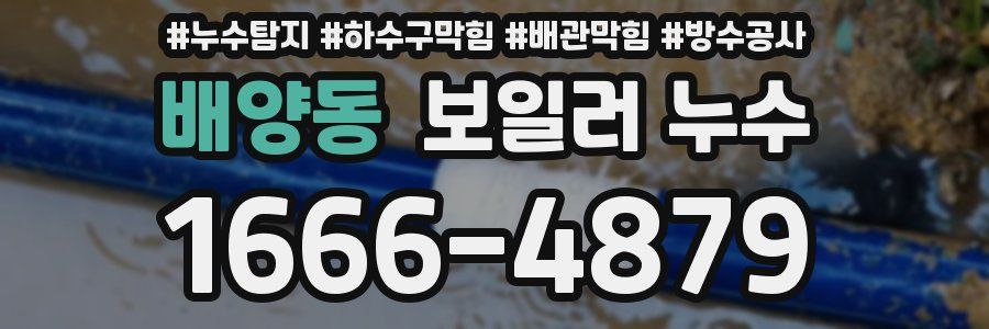 배양동 보일러 누수