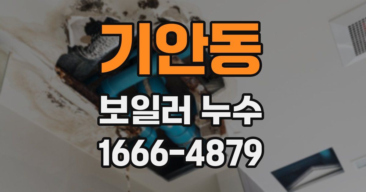 기안동 보일러 누수