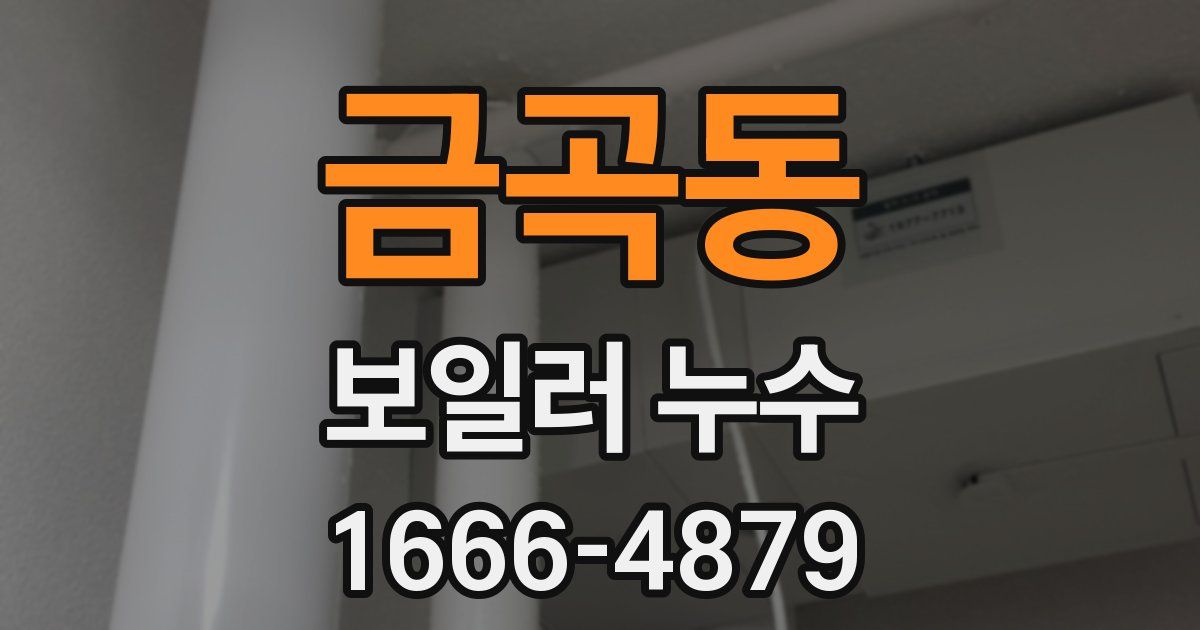 금곡동 보일러 누수