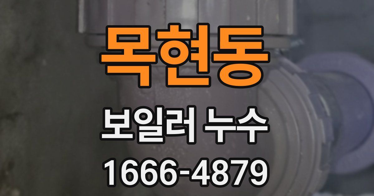 목현동 보일러 누수