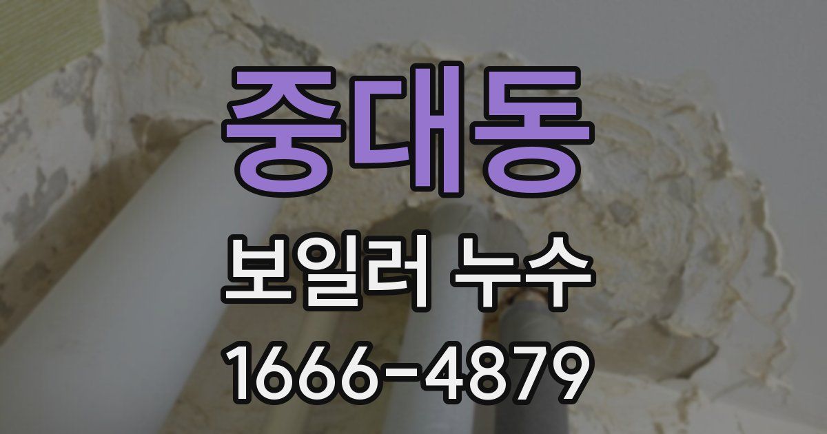중대동 보일러 누수