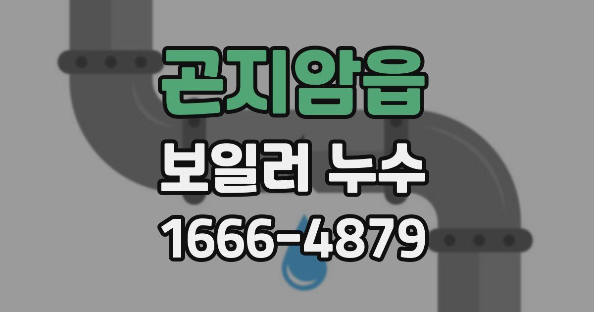곤지암읍 보일러 누수