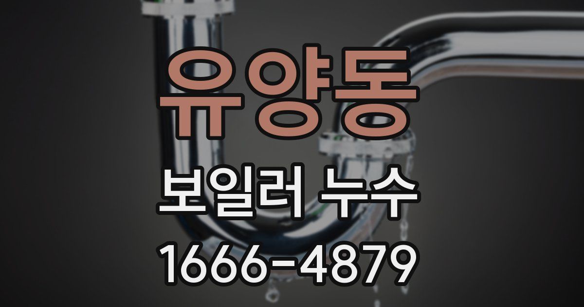 유양동 보일러 누수
