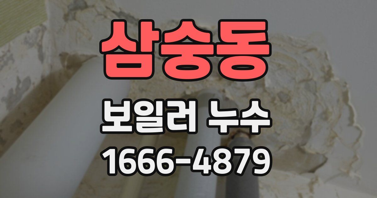 삼숭동 보일러 누수