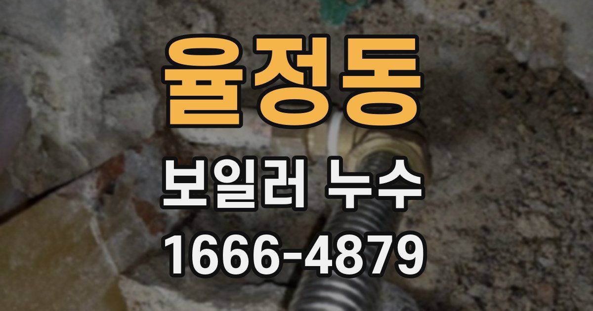 율정동 보일러 누수