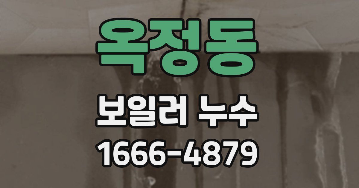 옥정동 보일러 누수