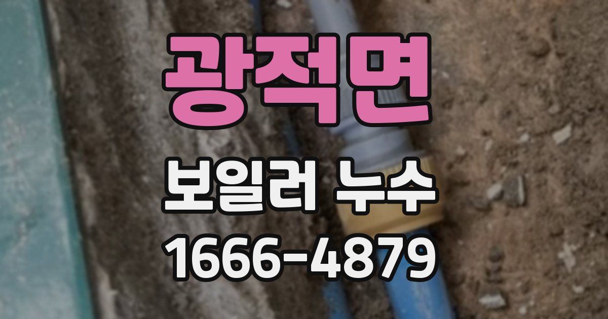 광적면 보일러 누수