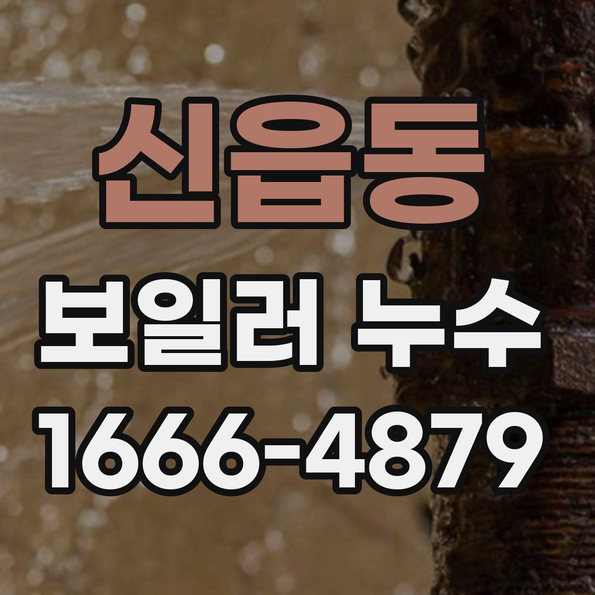 신읍동 보일러 누수