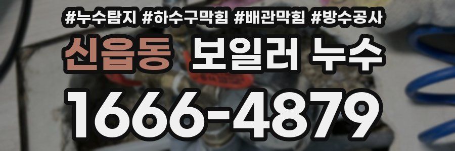 신읍동 보일러 누수