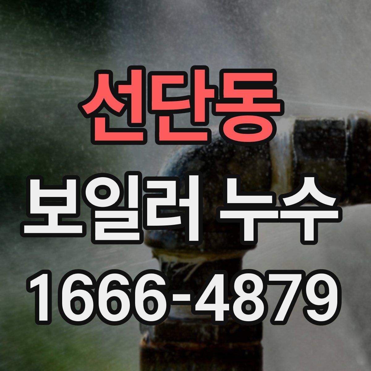 선단동 보일러 누수
