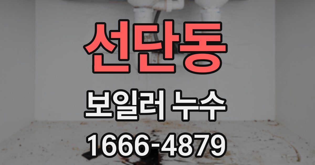 선단동 보일러 누수