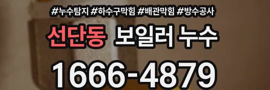 선단동 보일러 누수