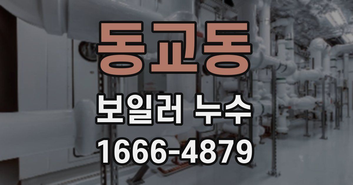 동교동 보일러 누수
