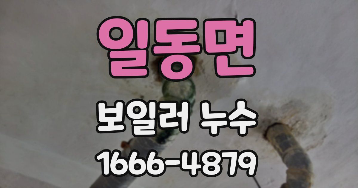 일동면 보일러 누수