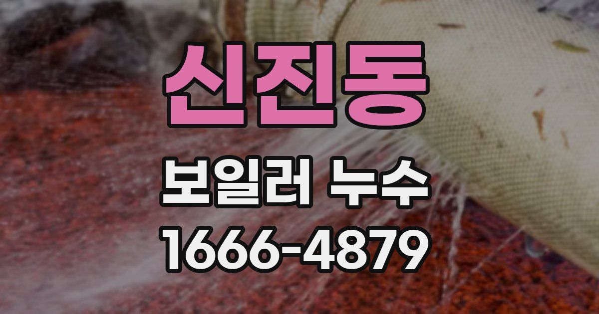 신진동 보일러 누수