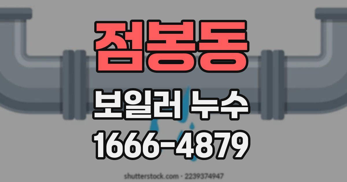 점봉동 보일러 누수