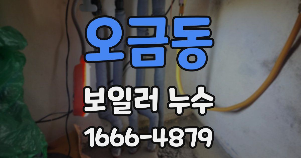 오금동 보일러 누수
