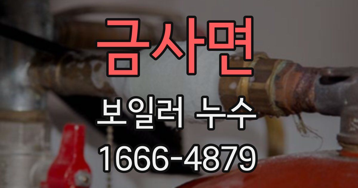 금사면 보일러 누수