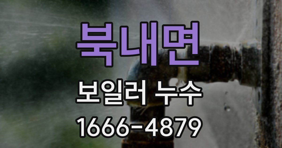 북내면 보일러 누수