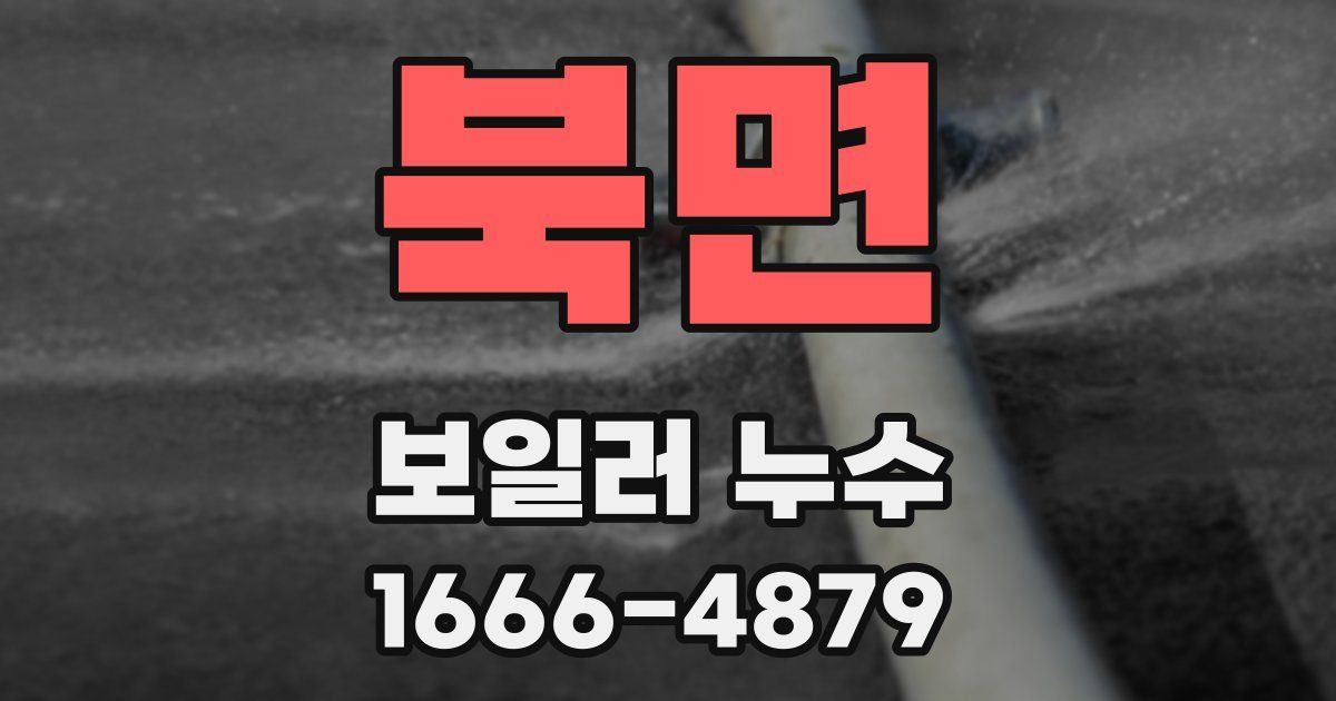 북면 보일러 누수