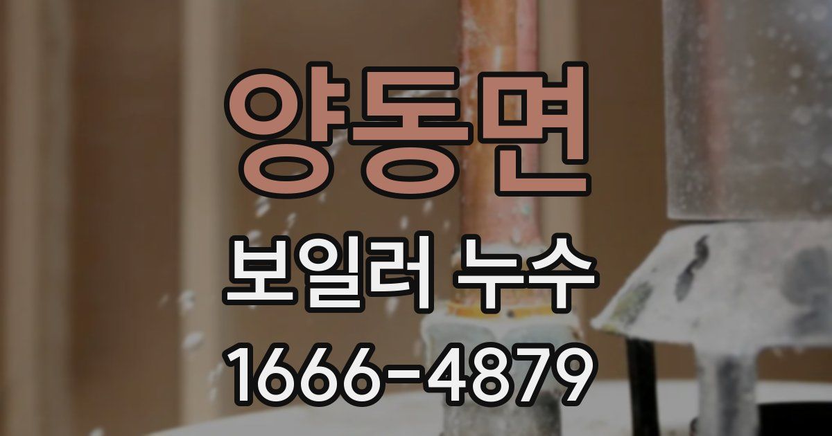 양동면 보일러 누수