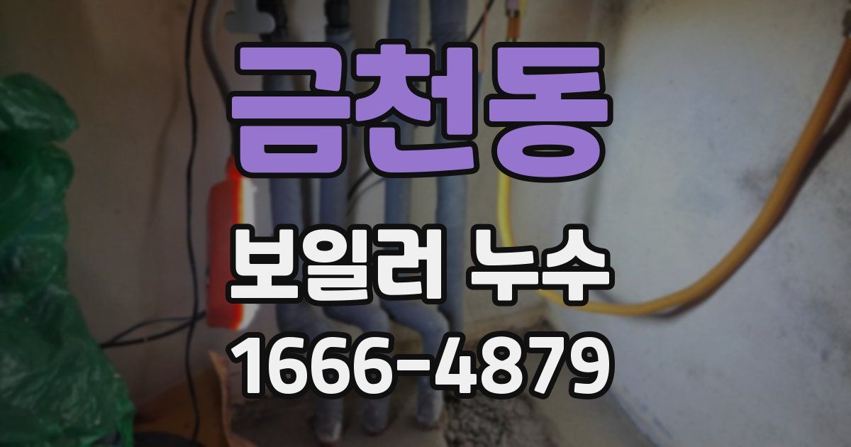 금천동 보일러 누수