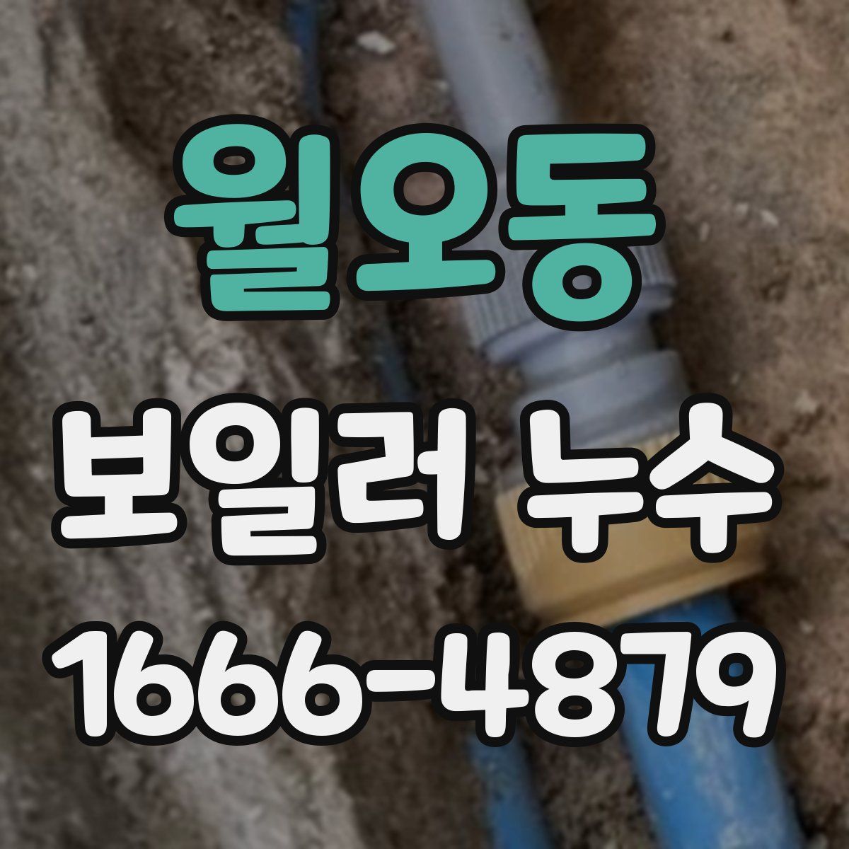 월오동 보일러 누수
